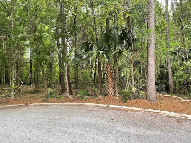 Listing photo 2 for SE 43rd St, Ocala FL 34480