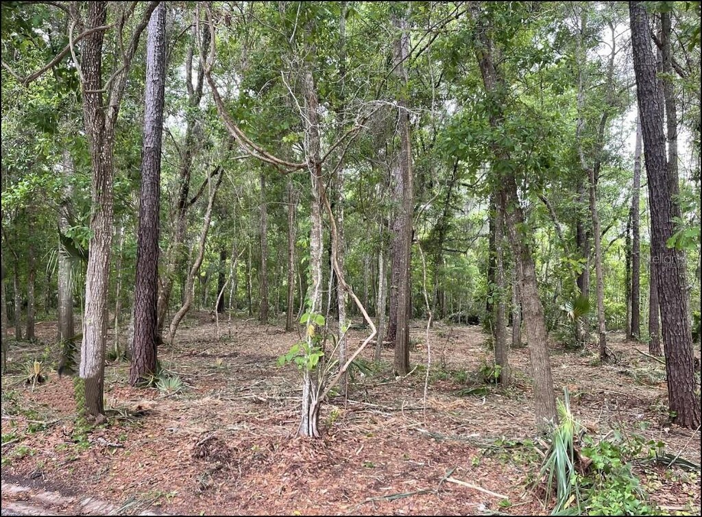 SE 43rd St, Ocala, FL 34480 - photo 3