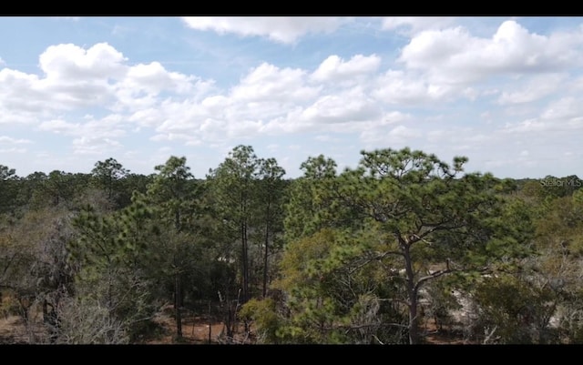 TBD SW 140th Ct, Ocala FL, 34481 land for sale