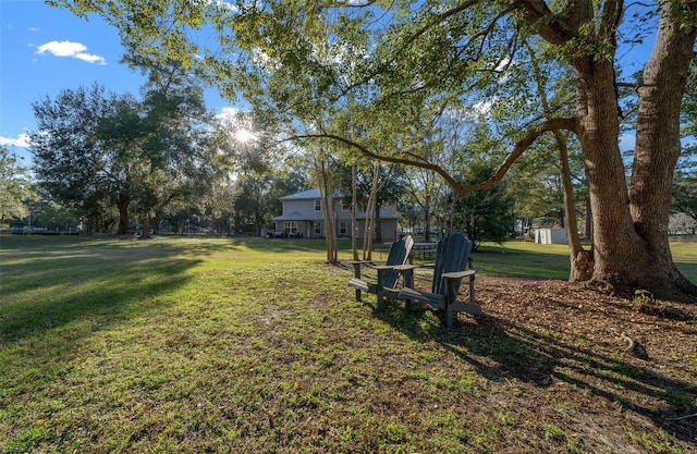 4161 NE 185th Ave, Williston, FL 32696 - view of yard