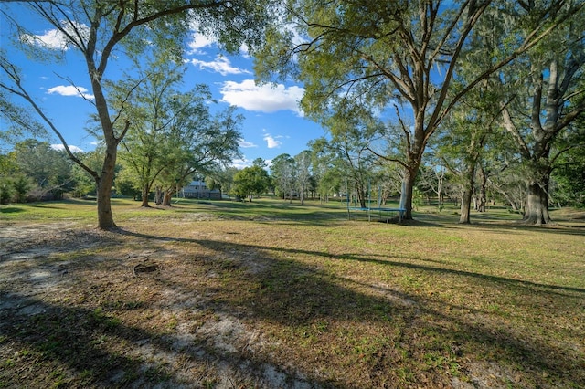 4161 NE 185th Ave, Williston, FL 32696 - view of yard with a trampoline