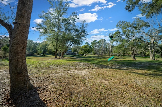 4161 NE 185th Ave, Williston, FL 32696 - view of yard