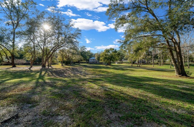 4161 NE 185th Ave, Williston, FL 32696 - view of yard