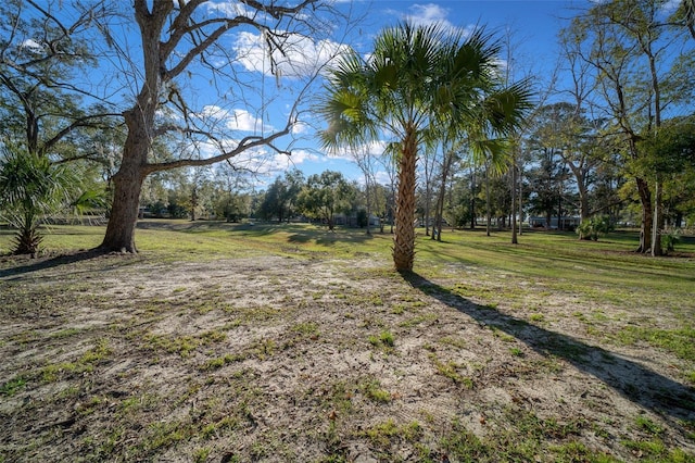 4161 NE 185th Ave, Williston, FL 32696 - view of yard