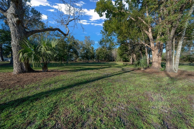 4161 NE 185th Ave, Williston, FL 32696 - view of yard