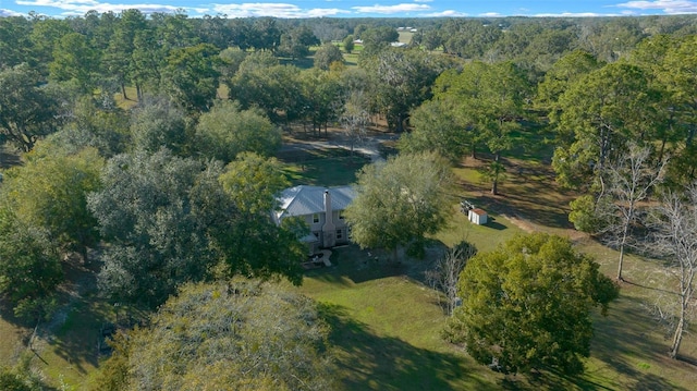 4161 NE 185th Ave, Williston, FL 32696 - bird's eye view