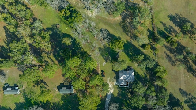 4161 NE 185th Ave, Williston, FL 32696 - birds eye view of property
