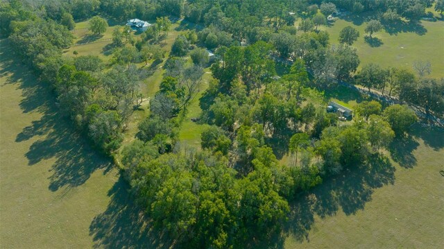 4161 NE 185th Ave, Williston, FL 32696 - birds eye view of property