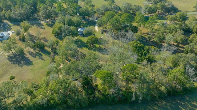 4161 NE 185th Ave, Williston, FL 32696 - aerial view with a rural view