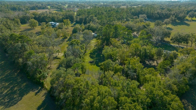 4161 NE 185th Ave, Williston, FL 32696 - drone / aerial view