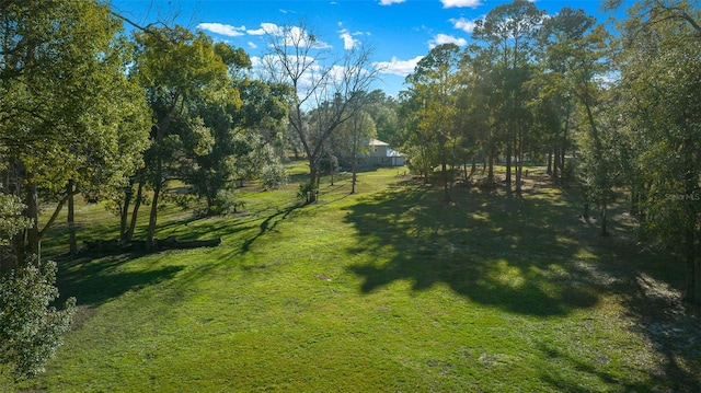 4161 NE 185th Ave, Williston, FL 32696 - view of nature