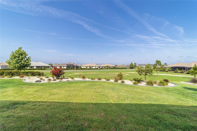 8107 SW 92nd Cir, Ocala, FL 34481 - view of grassy yard with a residential view