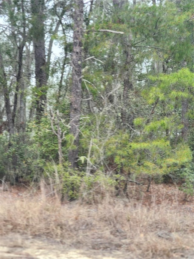 Listing photo 2 for 00 Fischer Trail Ter, Ocklawaha FL 32179