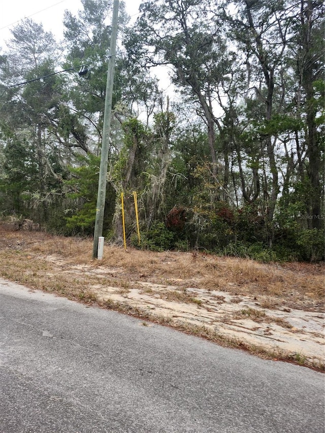 Listing photo 3 for 00 Fischer Trail Ter, Ocklawaha FL 32179