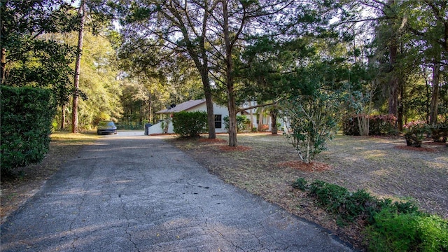 view of street featuring driveway