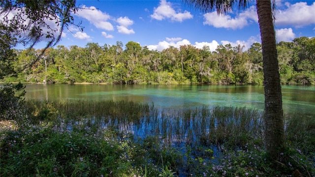 view of water feature with a wooded view