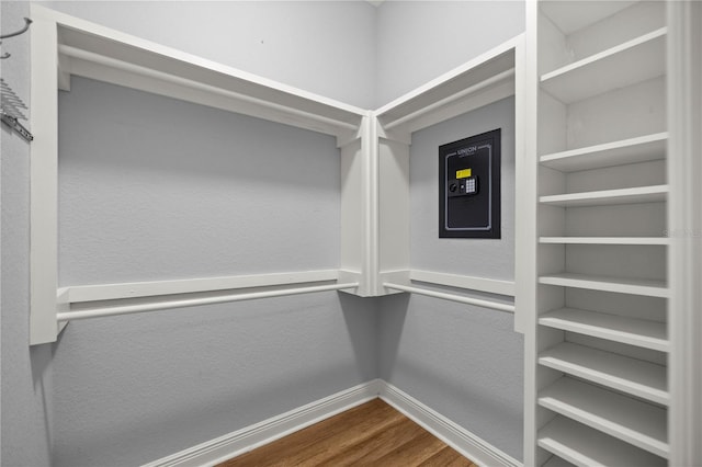 spacious closet featuring hardwood / wood-style floors