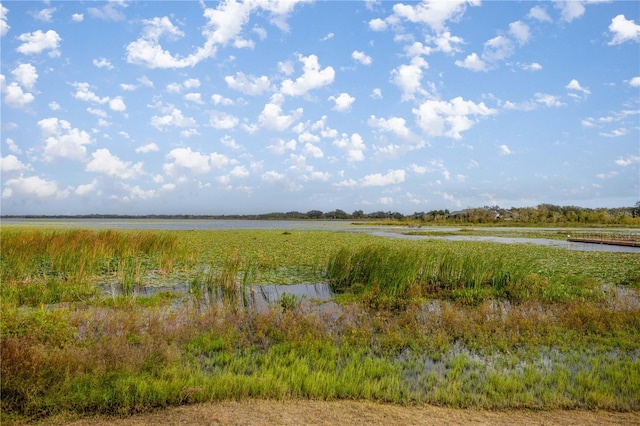 view of landscape featuring a water view