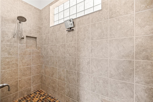 10138 Lake Miona Way, Oxford, FL 34484 - bathroom with tiled shower