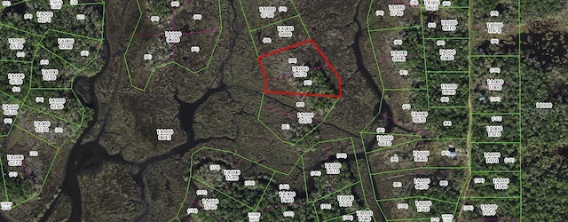 13387 Sportsmans Is, Homosassa, FL 34448 - photo 1