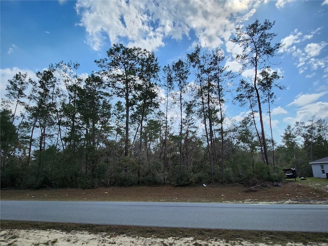 Listing photo 3 for TBD SW 32nd Cir, Ocala FL 34473