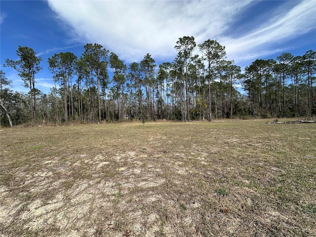 Listing photo 2 for TBD NE 127th Ct, Williston FL 32696