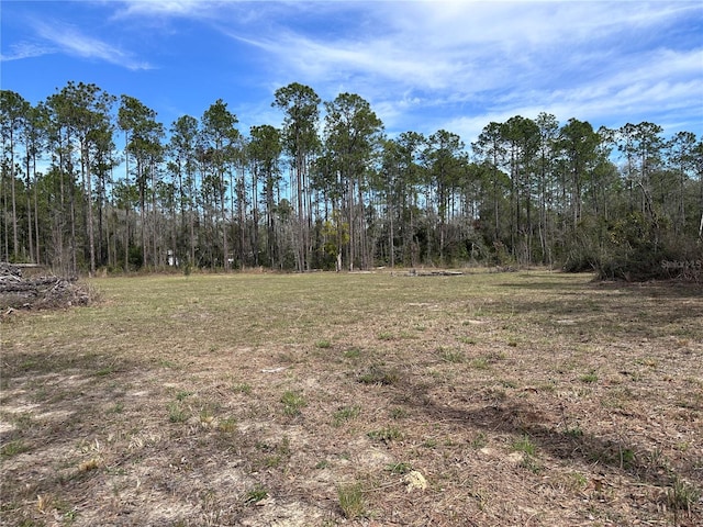 Listing photo 3 for TBD NE 127th Ct, Williston FL 32696