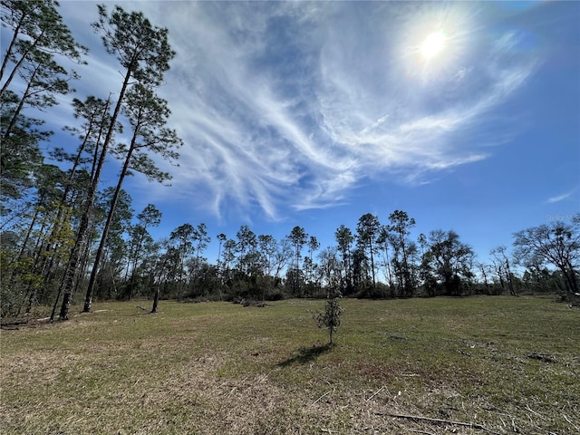 TBD NE 127th Ct, Williston FL, 32696 land for sale