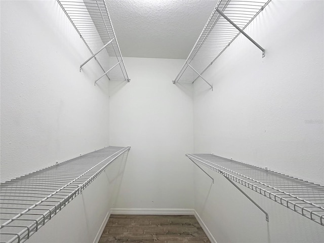walk in closet featuring wood-type flooring