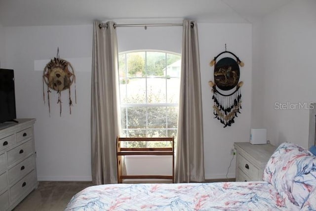 bedroom with multiple windows and light colored carpet