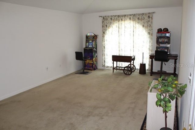 miscellaneous room featuring carpet