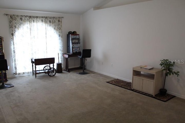 miscellaneous room featuring light colored carpet and lofted ceiling