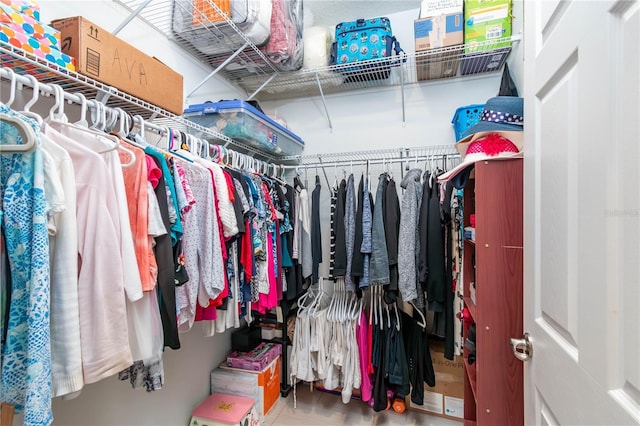 view of spacious closet