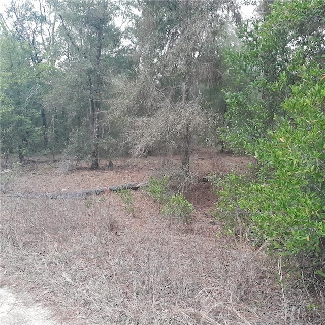 Listing photo 2 for TBD NE 12th Ln, Williston FL 32696