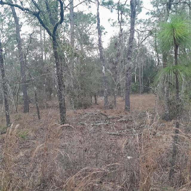 Listing photo 3 for TBD NE 12th Ln, Williston FL 32696