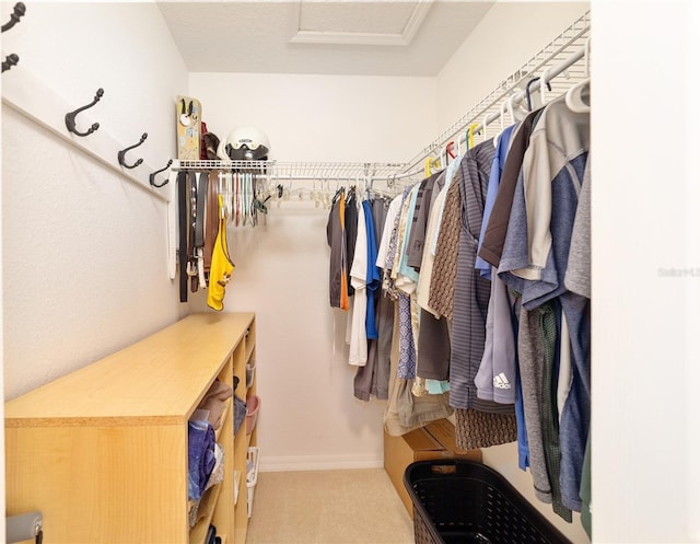 spacious closet with carpet floors and attic access