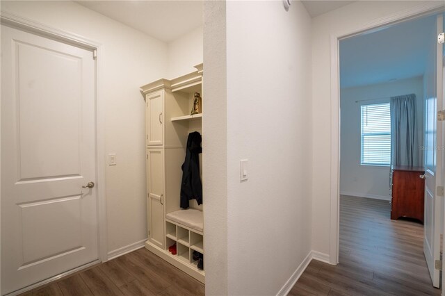 mudroom with dark hardwood / wood-style floors