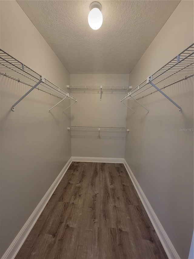 walk in closet featuring wood finished floors