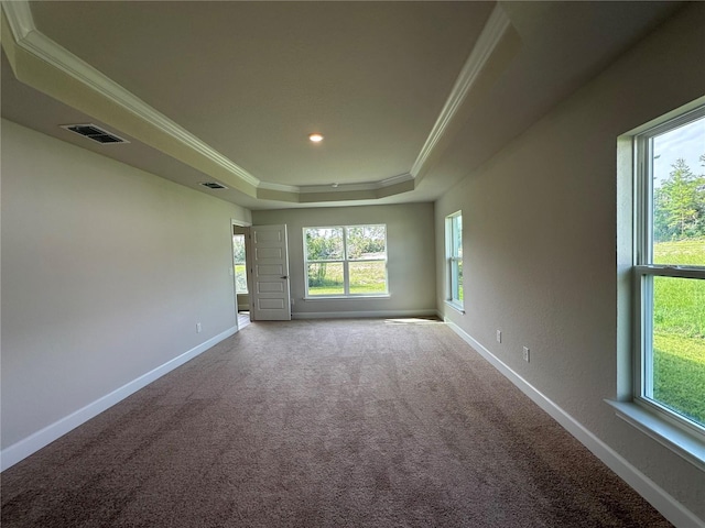 spare room with ornamental molding, a raised ceiling, and carpet