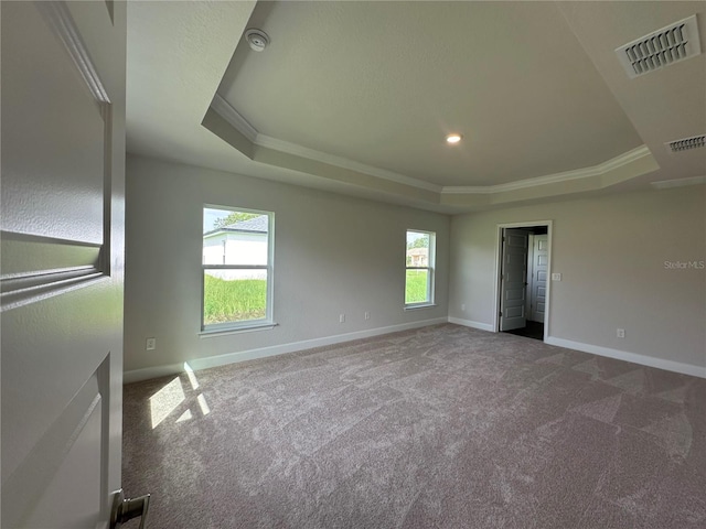 empty room with ornamental molding, plenty of natural light, and a tray ceiling