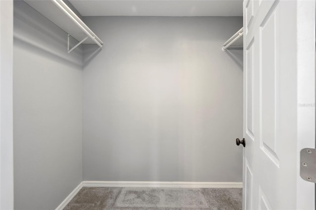 walk in closet with carpet