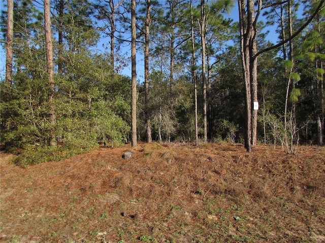 LOT12 SW 68th Loop, Dunnellon FL, 34432 land for sale