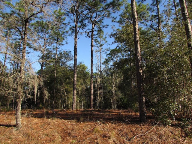 Listing photo 2 for LOT12 SW 68th Loop, Dunnellon FL 34432