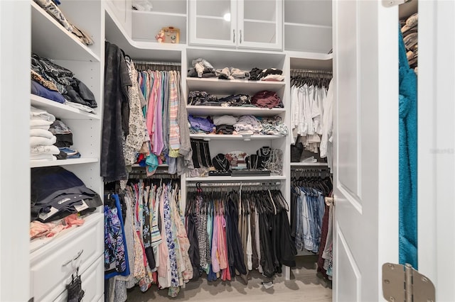 view of walk in closet