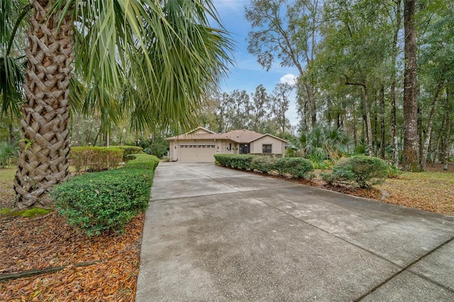 view of front of property featuring concrete driveway