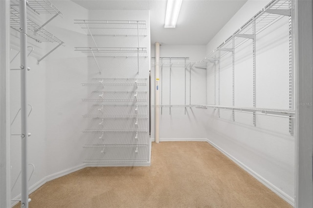 spacious closet with carpet floors