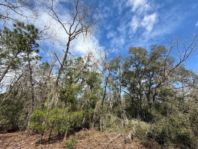 TBD SE 158th Ln, Dunnellon FL, 34432 land for sale