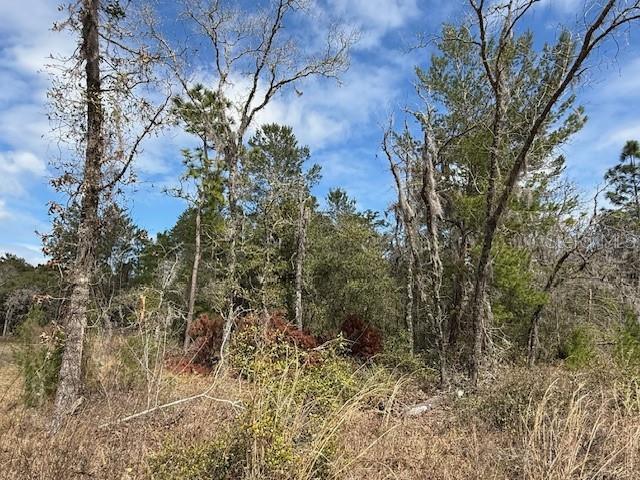 Listing photo 2 for TBD SE 158th Ln, Dunnellon FL 34432