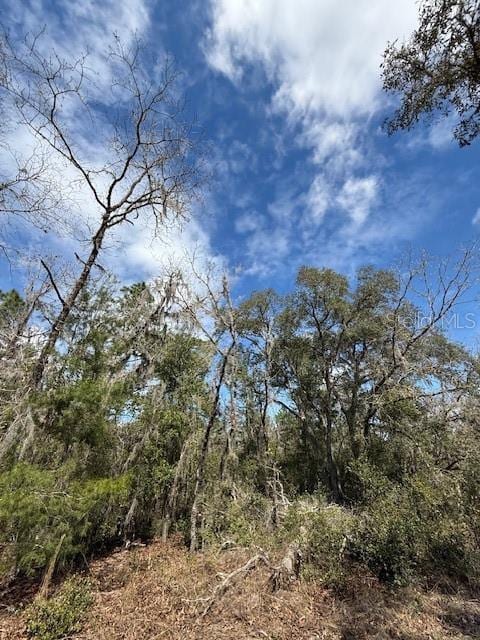 Listing photo 3 for TBD SE 158th Ln, Dunnellon FL 34432