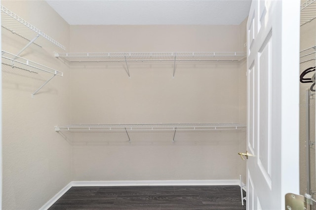 spacious closet featuring dark hardwood / wood-style flooring